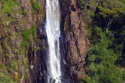 From Nuwara Eliya: Adam's Peak Climb & Ella Drop