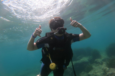 Hammamet: Guided Shore Dive for Beginners with Gear
