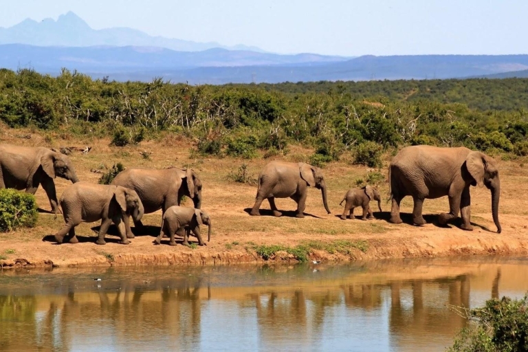 Safari tour van Galle (Hikkaduwa) naar Udawalawe nationaal park