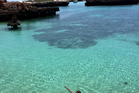 diymaniyat Snorkelling (swim whalesharks or turtles)diymaniyat : snorkeling : tour