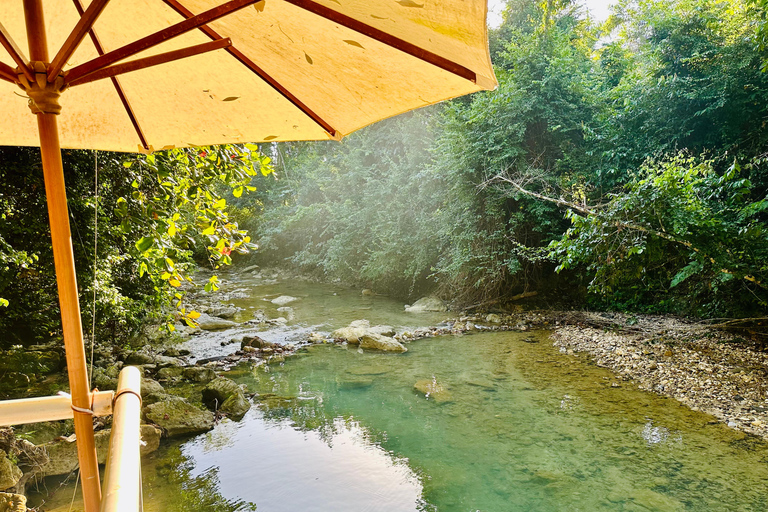2in1: Parco Nazionale di Los Haitises + Cascata di Yanigua-SPATour guidato in tutte le lingue
