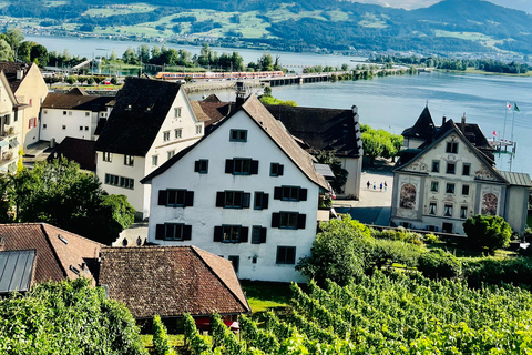 FREE PHOTO near Zurich Rapperswil: Castle, Rose Old Town FREE Photo add near Zurich Rapperswil walk Castle, Rose