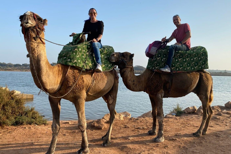 从阿加迪尔出发：苏斯河骆驼骑行