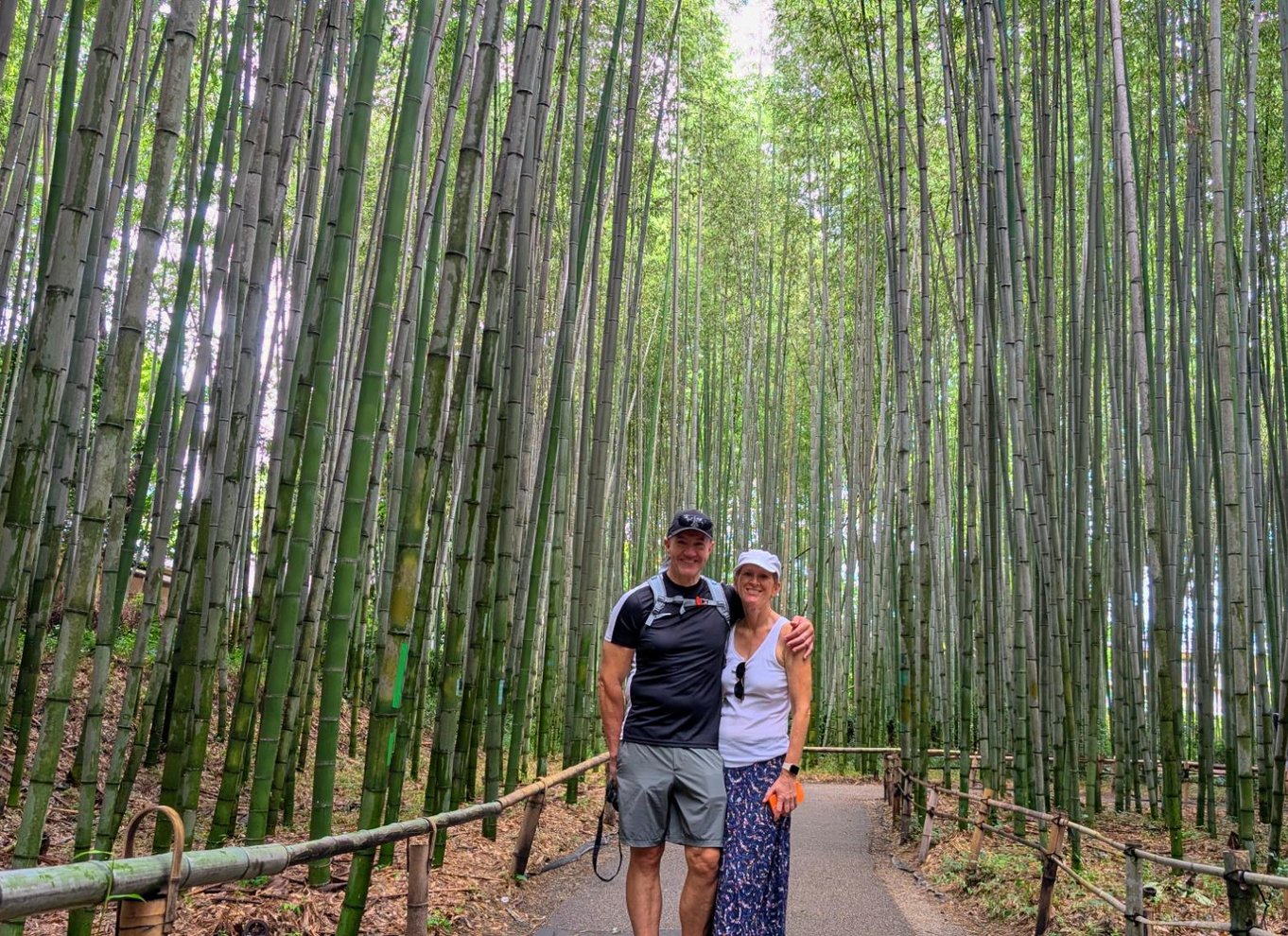 Kyoto: Arashiyama-bambus, tempel, matcha, aber og hemmeligheder