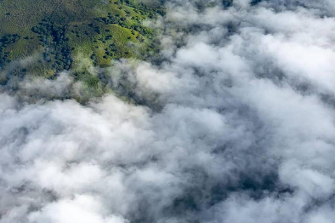 Arusha: Safari a piedi nel Parco Nazionale di Arusha