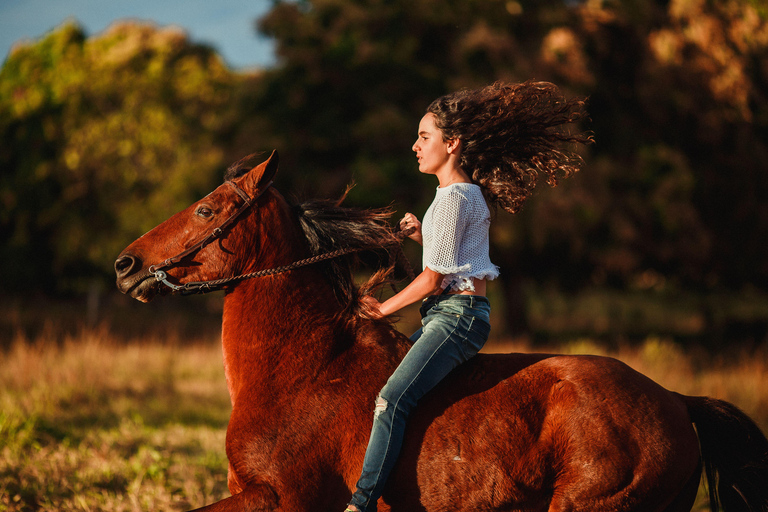 Saint John: Private Sunset Horseback Riding Experience