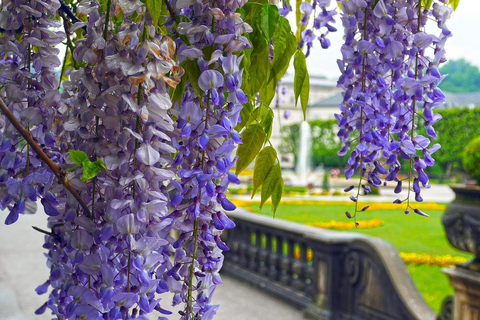 梅尔克修道院至萨尔茨堡与慕尼黑：巴洛克与巴伐利亚瑰宝