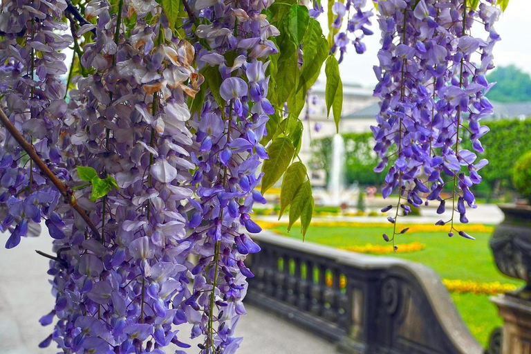 梅尔克修道院至萨尔茨堡与慕尼黑：巴洛克与巴伐利亚瑰宝