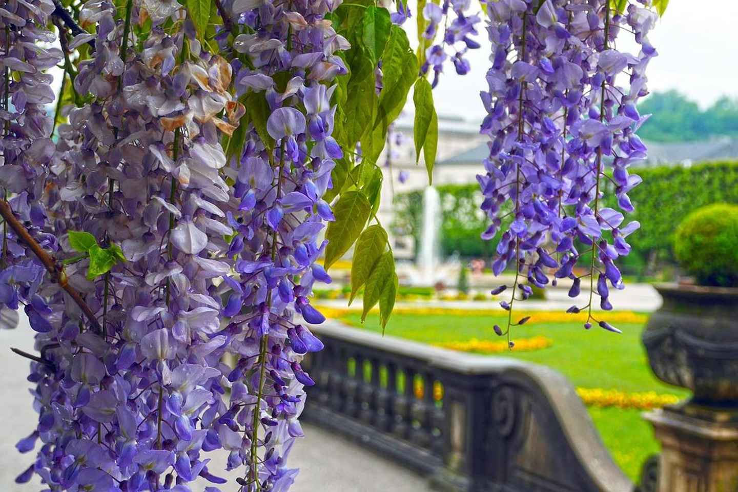 Melk Abbey to Salzburg: Baroque Gems