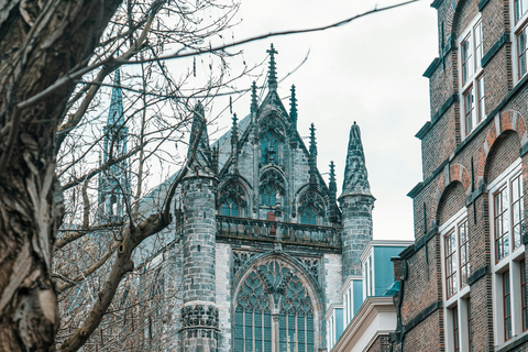 Tour of Utrecht, Haar Castle, and Breukelen + guide and private car Tour to Utrecht, Haar Castle, and Breukelen + guide and private car