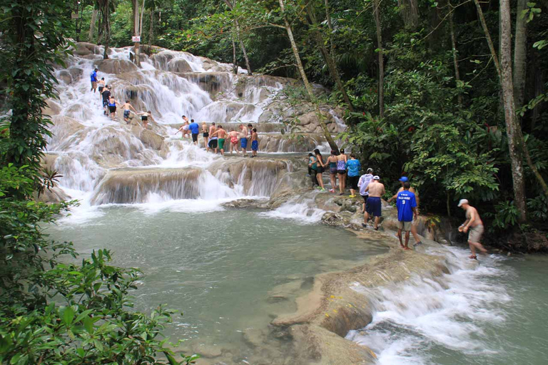 Bob Marley Mausoleum & Dunn’s River Falls Private Tour