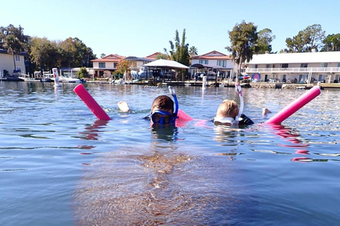 Crystal River: Guided Manatee Tour Heated Boat Free Photos