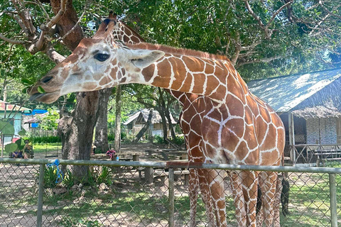 Coron; Calauit Safari Black Island Lunch &amp; Transfer inbegrepen