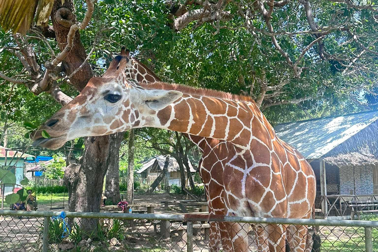 Coron; Calauit Safari Black Island Lunch &amp; Transfer inbegrepen