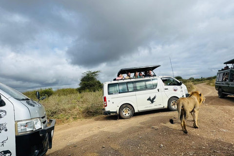Nairobi National Park Evening and Sundowner Game Drive