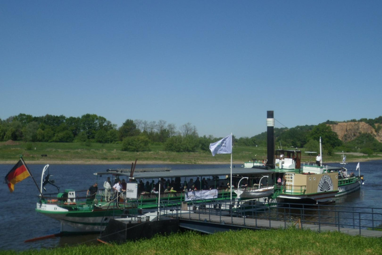 Dresden: Boat Cruise with Wine Tasting and Snacks