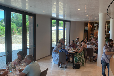 Prosecco Hills Private Tour All inclusive. 2 wineries+lunch