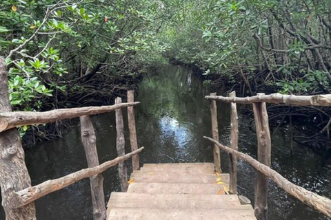ZANZIBAR: Foresta di Jozani e snorkeling con i delfini a Mnemba con barbecueTOUR PRIVATO SENZA SERVIZIO DI PRELIEVO E RIENTRO IN HOTEL
