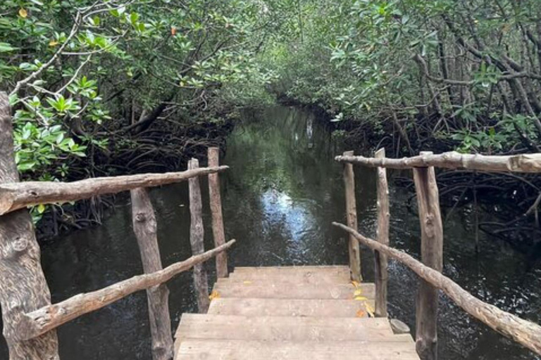 ZANZIBAR: Foresta di Jozani e snorkeling con i delfini a Mnemba con barbecueTOUR PRIVATO SENZA SERVIZIO DI PRELIEVO E RIENTRO IN HOTEL