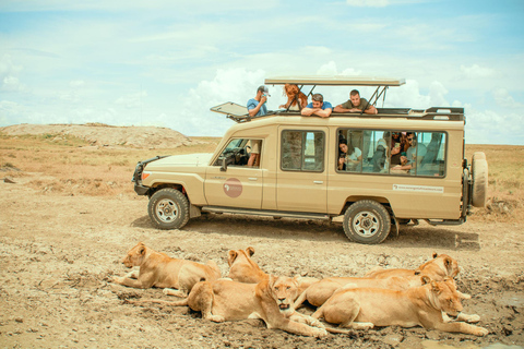 2 Days Private Budget Safari from Moshi