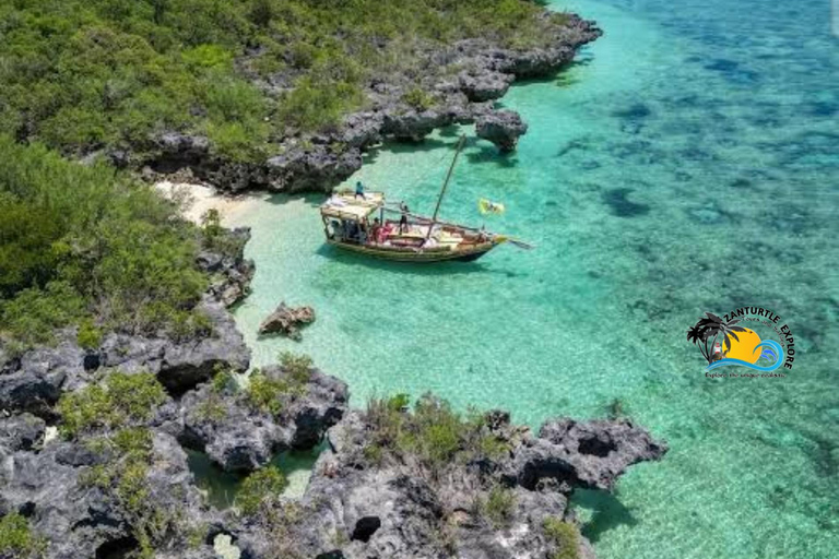 Zanzíbar: excursión de snorkel y delfines en la isla de PungumeZanzíbar: Excursión de snorkel y delfines en la isla de Pungume