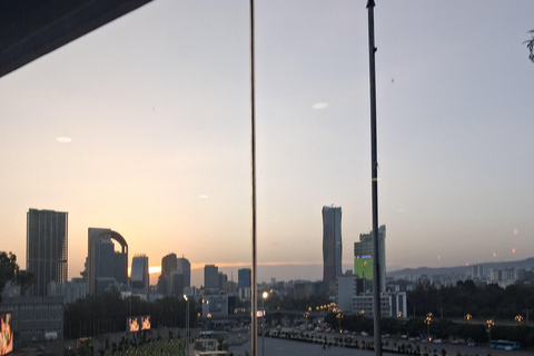 Addis Ababa: Layover Tour with Zoma Museum & Arara park