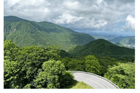 De Tóquio: Nikko Tour Particular em Prado de Luxo Preço mais baixo