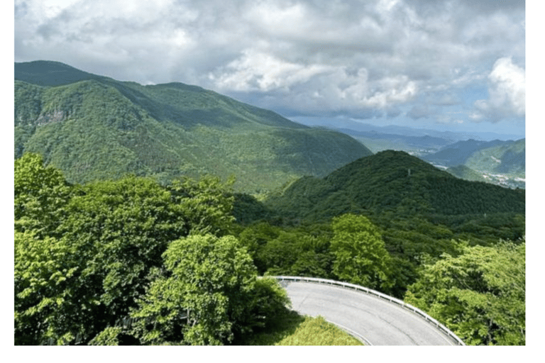 De Tóquio: Nikko Tour Particular em Prado de Luxo Preço mais baixo