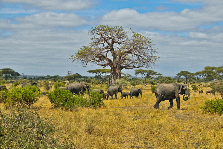 Victoria Falls Full Ultimate Day Experience