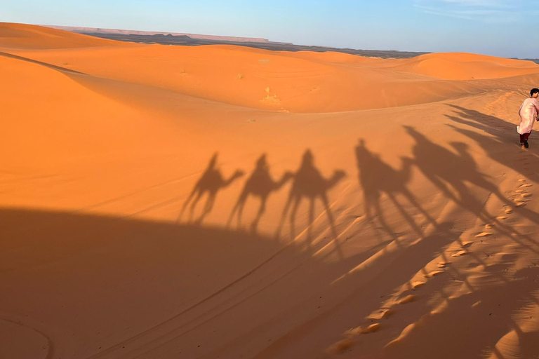 Marrakesh: Sahara Desert Tour From Marrakech 3D2N & Glamping Private Luxury Tour