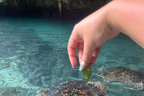 Zanzibar:Sea torttle swim at Salaam & Prison Island Tortoise Private Salaam cave & prison Island. No transfer