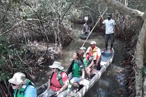 Carthagène : Naviguez dans les mangroves de Carthagène