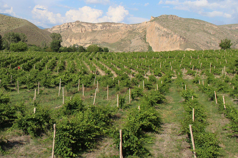 Tour di un giorno sulla Strada del Vino di Vayots Dzor, alla scoperta delle cantine di Areni