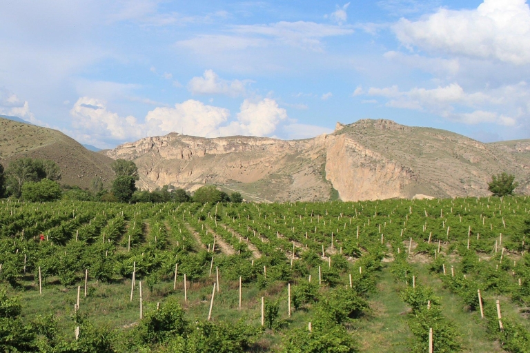 Excursion d'une journée sur la route des vins de Vayots Dzor, à la découverte des vignobles d'Areni