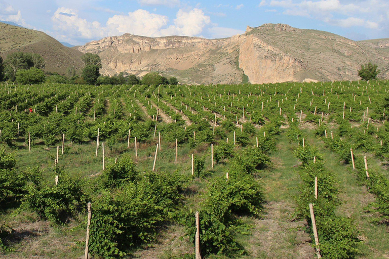 Excursión de un día por la Ruta del Vino de Vayots Dzor, descubre las Bodegas de Areni