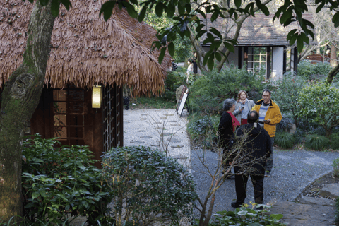 Hangzhou West Lake Bike Tour: Temple, Tea Field, Sunset Ride