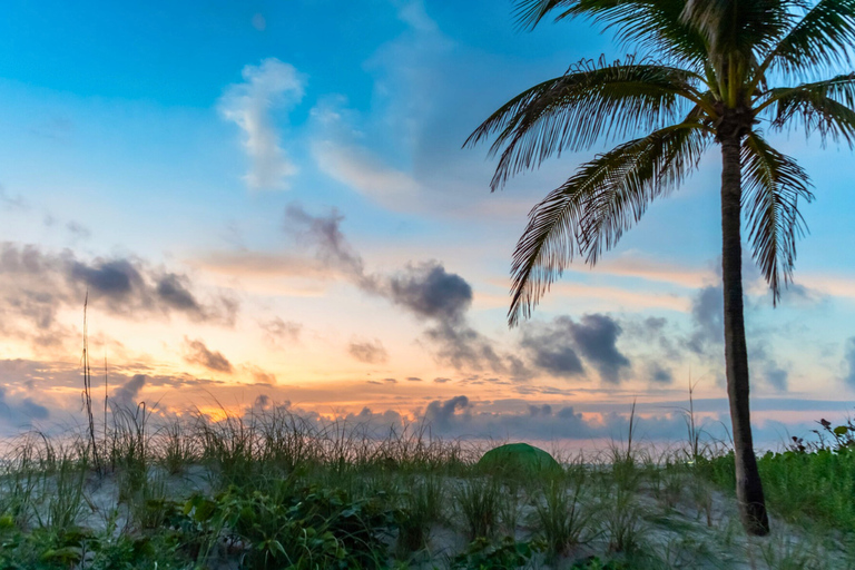 Fort Lauderdale Beach Food Tour