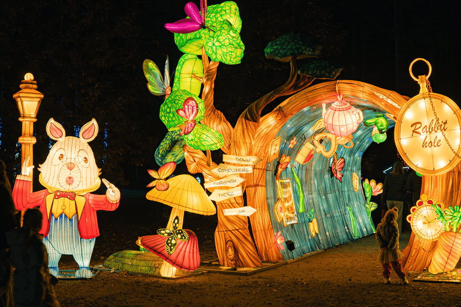 Köln: Eintrittskarte für den Garten der Lichter. Foto: GetYourGuide