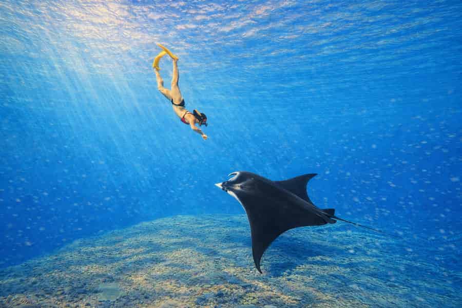 Ab Bali: Schnorcheln an 3 Orten mit GoPro & West-Penida-Tour. Foto: GetYourGuide