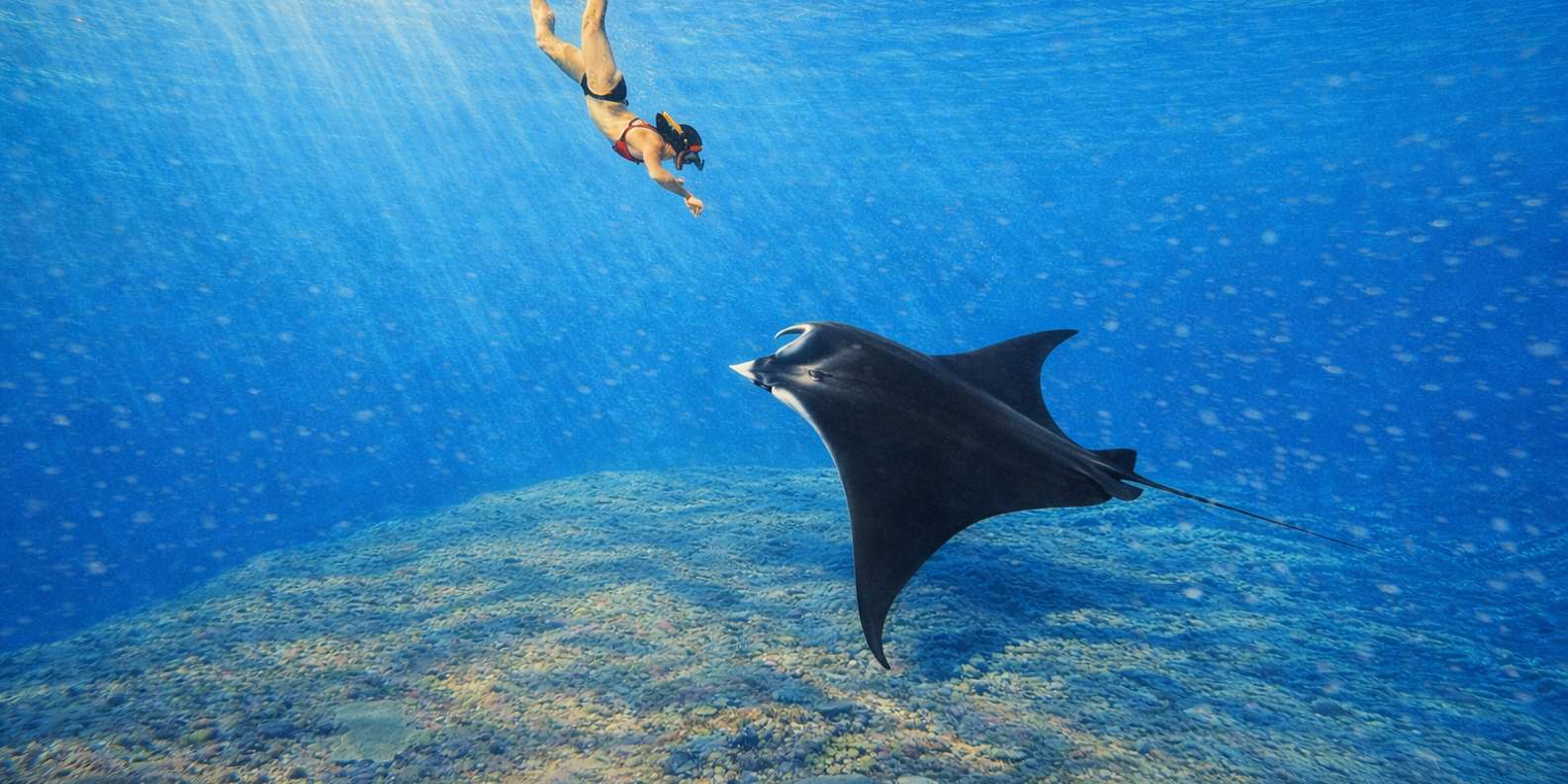 From Bali: Snorkeling 3 Spots with GoPro & West Penida Tour