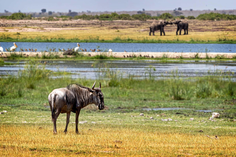 Safari de 3 días y 2 noches a Tsavo desde Nairobi