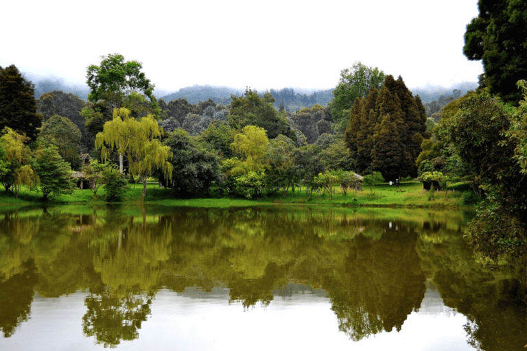 BOGOTA: Ancestral Exploration, Tour Facatativá, Piedras del Tunjo and Zipacón