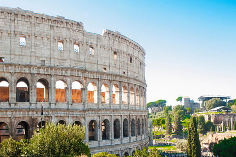 Rome: Colosseum Arena, Roman Forum, and Palatine Hill Tour Group Tour in English