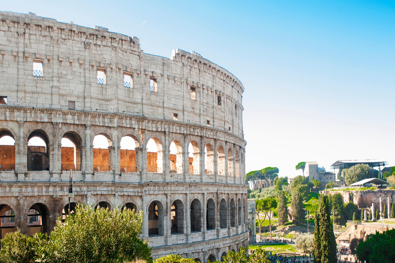 Roma: Tour del Colosseo, del Foro Romano e del Palatino con ingresso prioritarioTour di gruppo in inglese con ingresso ai gladiatori al piano dell&#039;Arena