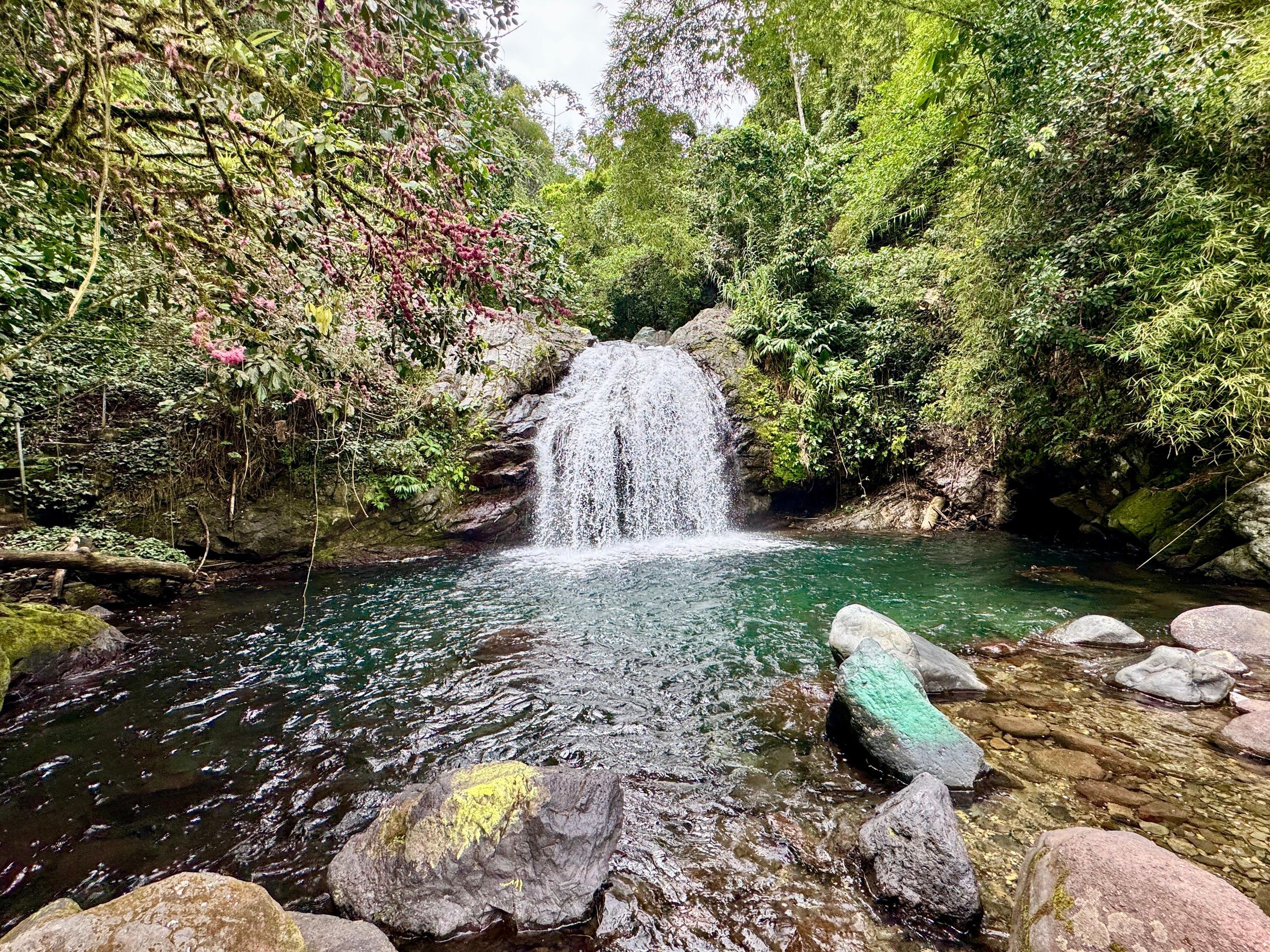 Port Antonio: Entdeckung an den Fish-Dunn-Wasserfällen