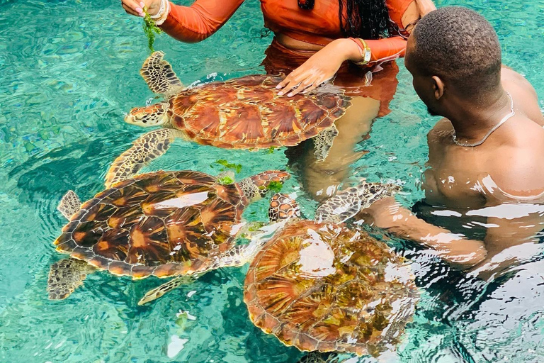 Zanzibar: Zwemmen met de schildpadden in het Natural Aquarium