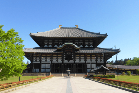 1 Day Osaka to Nara: escape to find peace with temple & deer