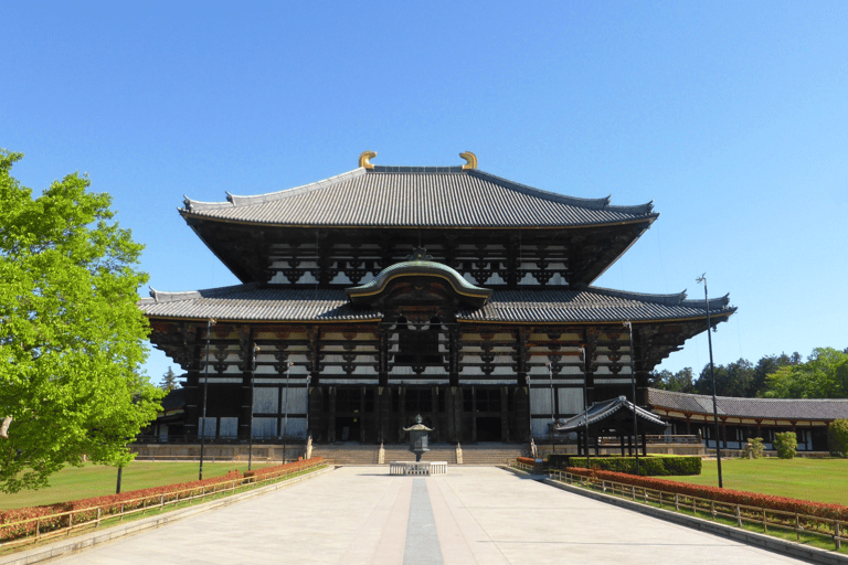 1 Tag Osaka nach Nara: Mit Tempel und Hirschen zur Ruhe kommen