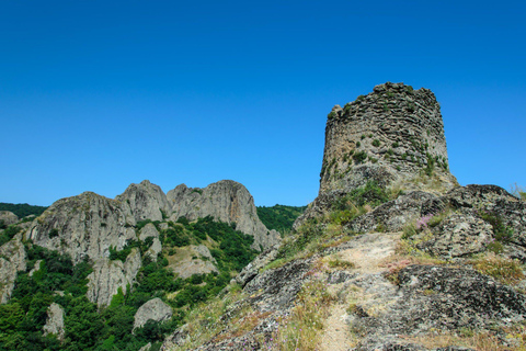 Tbilisi: Didgori Battlefield Tour with Guide