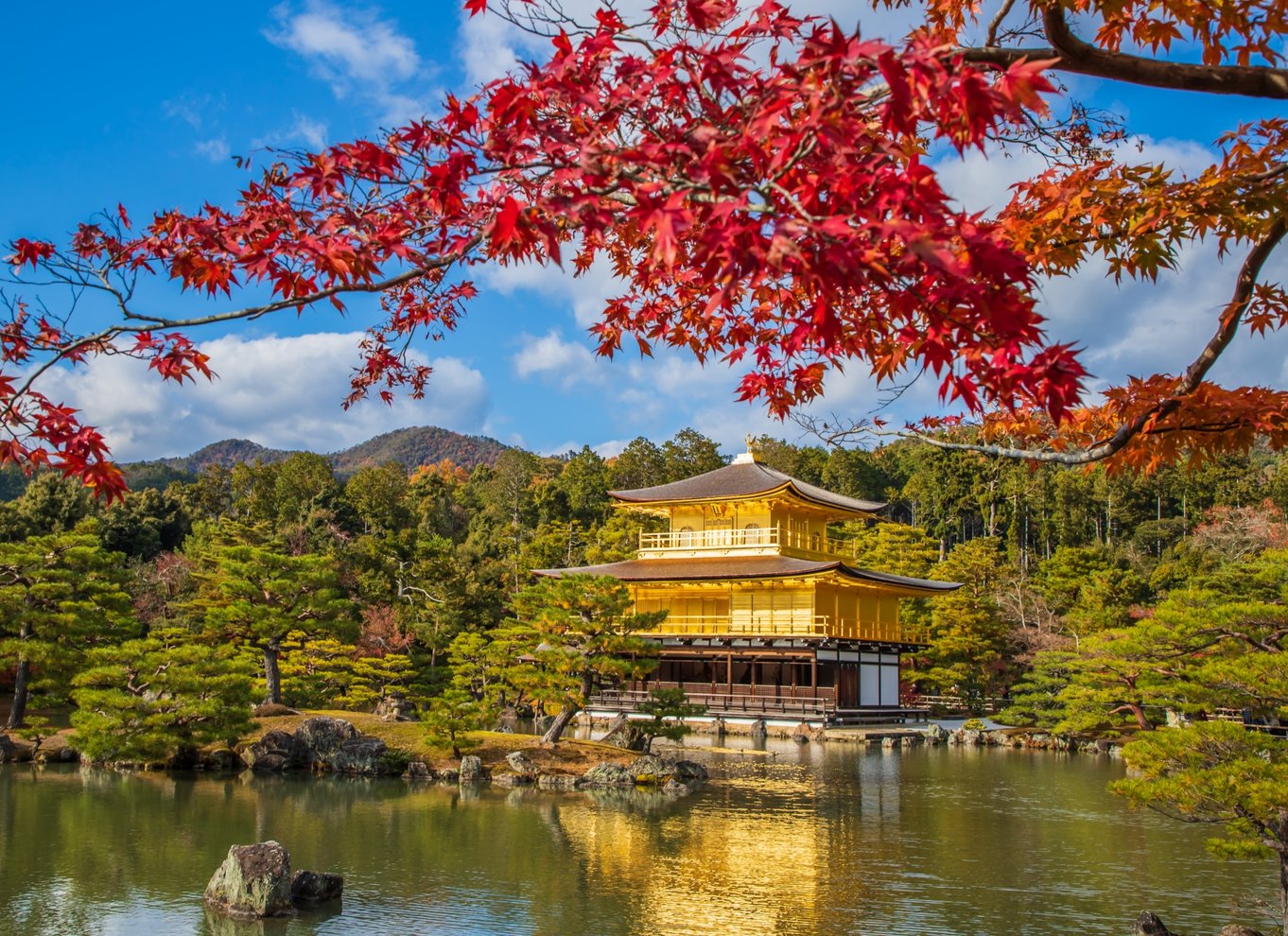 Fra Osaka/Kyoto: Kyoto og Nara 1-dags guidet tur